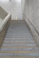 Serie 1A binary comment