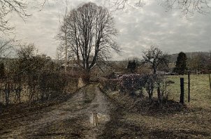 Serie 3D binary comment