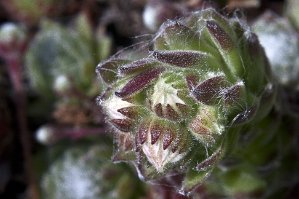 2020 07 29 Patrick expo 2