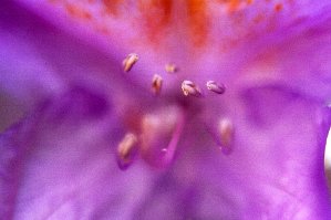 2020 07 29 Patrick expo 1