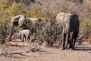 2020 07 29 Patrick expo 4