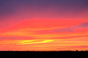 2020 07 29 Patrick expo 5