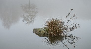 20200729 Suzanne 3791