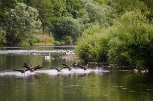 20200729 Suzanne 4378