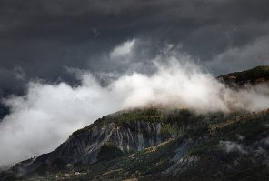 20200729 Suzanne 4545