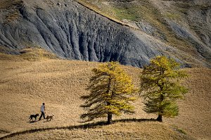 20200729 Suzanne 5150