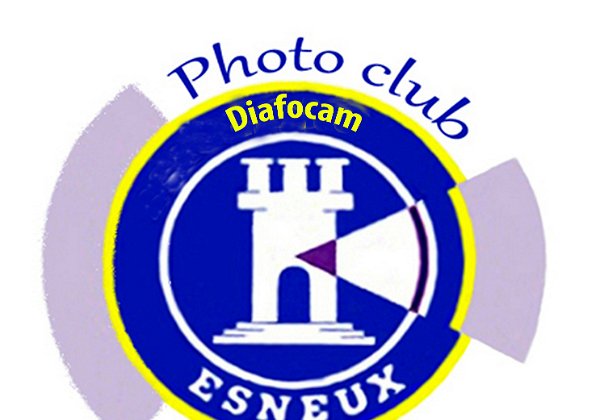 Galeries des membres