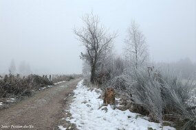 PETITES TAILLES 2-12 (21) null