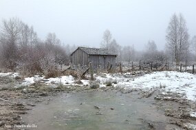 PETITES TAILLES 2-12 (7) null