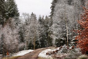 LA HOEGNE 14-02 null