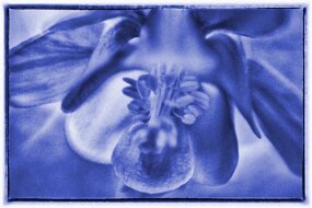 IMG_4122 null