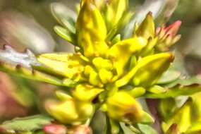 IMG_4128 null