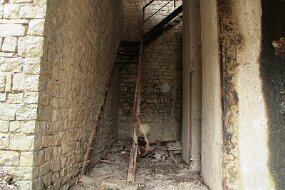 Abandon 5 null