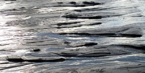 IMG_1144 null