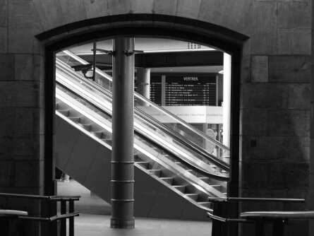 Photo club 13082025