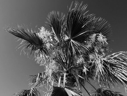27-08-2025 Lheureux