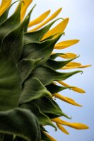 20261015_2 null