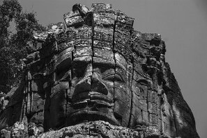 20261015_7 null